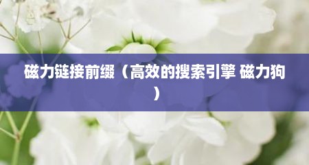 磁力链接前缀（高效的搜索引擎 磁力狗）