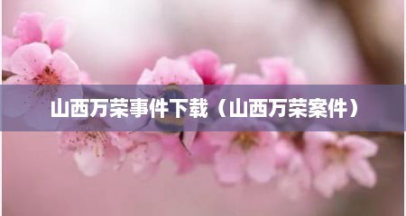 山西万荣事件下载（山西万荣案件）