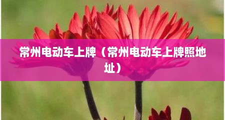 常州电动车上牌（常州电动车上牌照地址）