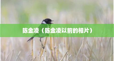陈金凌（陈金凌以前的相片）
