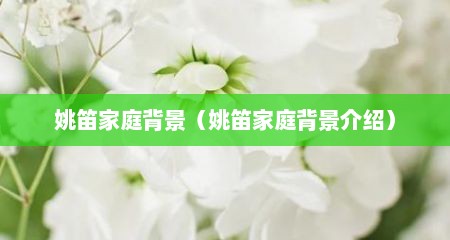 姚笛家庭背景（姚笛家庭背景介绍）