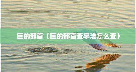 巨的部首（巨的部首查字法怎么查）