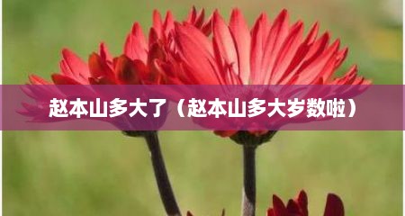 赵本山多大了（赵本山多大岁数啦）