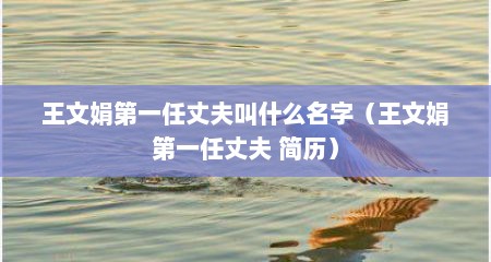 王文娟第一任丈夫叫什么名字（王文娟第一任丈夫 简历）