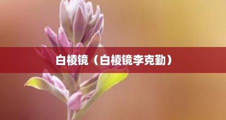 白棱镜（白棱镜李克勤）