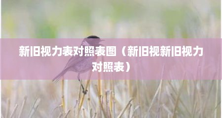 新旧视力表对照表图（新旧视新旧视力对照表）