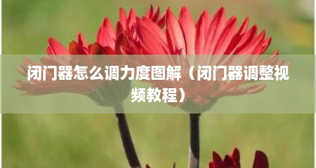 闭门器怎么调力度图解（闭门器调整视频教程）