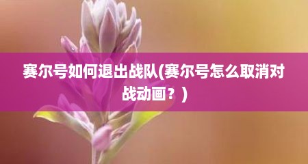 赛尔号如何退出战队(赛尔号怎么取消对战动画？)
