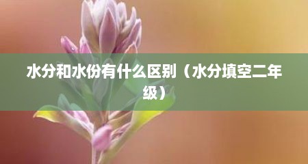 水分和水份有什么区别（水分填空二年级）