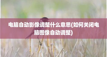 电脑自动影像调整什么意思(如何关闭电脑图像自动调整)