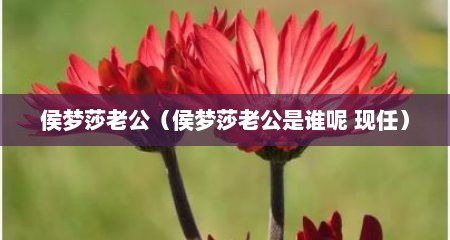 侯梦莎老公（侯梦莎老公是谁呢 现任）