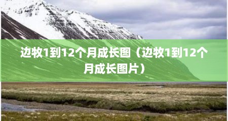 边牧1到12个月成长图（边牧1到12个月成长图片）