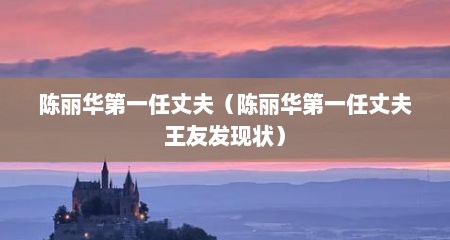 陈丽华第一任丈夫（陈丽华第一任丈夫王友发现状）