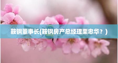 鞍钢董事长(鞍钢房产总经理栗忠华？)