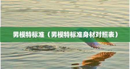 男模特标准（男模特标准身材对照表）