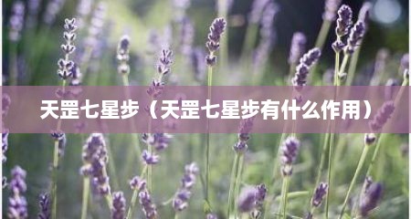 天罡七星步（天罡七星步有什么作用）