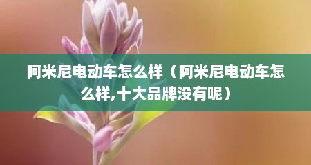 阿米尼电动车怎么样（阿米尼电动车怎么样,十大品牌没有呢）