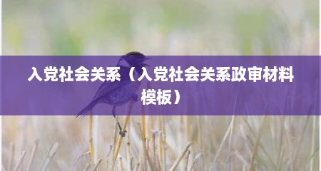 入党社会关系（入党社会关系政审材料模板）