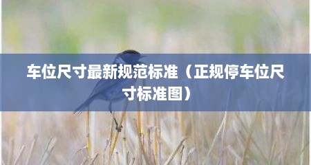 车位尺寸最新规范标准（正规停车位尺寸标准图）