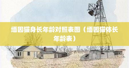 缅因猫身长年龄对照表图（缅因猫体长年龄表）