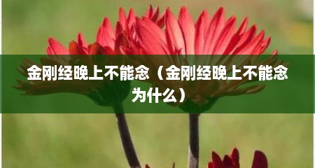 金刚经晚上不能念（金刚经晚上不能念为什么）