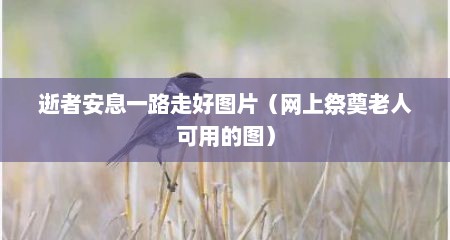逝者安息一路走好图片（网上祭奠老人可用的图）