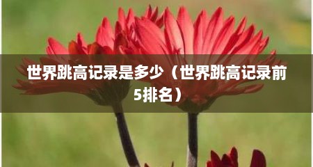 世界跳高记录是多少（世界跳高记录前5排名）