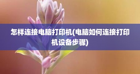 怎样连接电脑打印机(电脑如何连接打印机设备步骤)