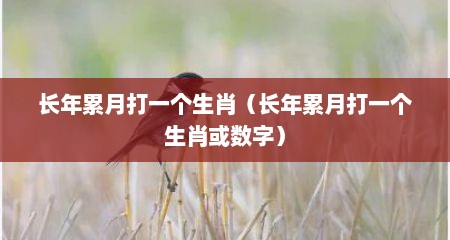 长年累月打一个生肖（长年累月打一个生肖或数字）