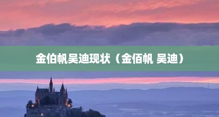 金伯帆吴迪现状（金佰帆 吴迪）