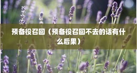预备役召回（预备役召回不去的话有什么后果）