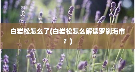 白岩松怎么了(白岩松怎么解读罗刹海市？)