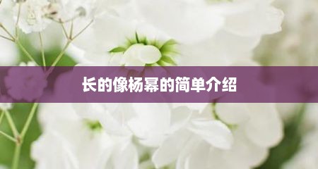 长的像杨幂的简单介绍