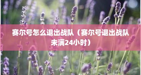 赛尔号怎么退出战队（赛尔号退出战队未满24小时）