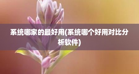 系统哪家的最好用(系统哪个好用对比分析软件)