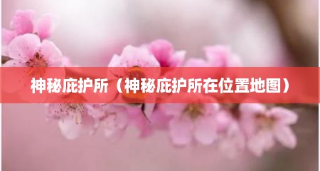神秘庇护所（神秘庇护所在位置地图）