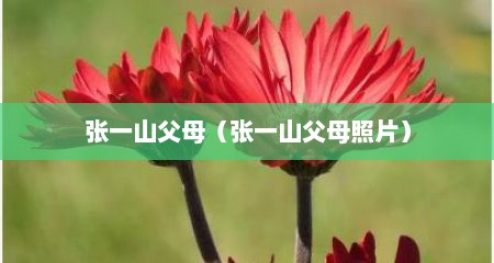 张一山父母（张一山父母照片）