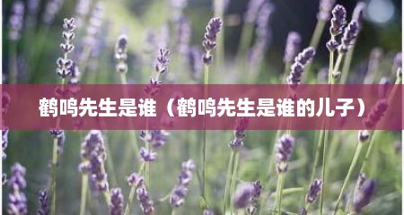 鹤鸣先生是谁（鹤鸣先生是谁的儿子）