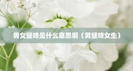 男女壁咚是什么意思啊（男壁咚女生）