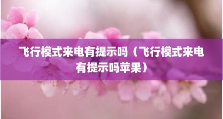 飞行模式来电有提示吗（飞行模式来电有提示吗苹果）