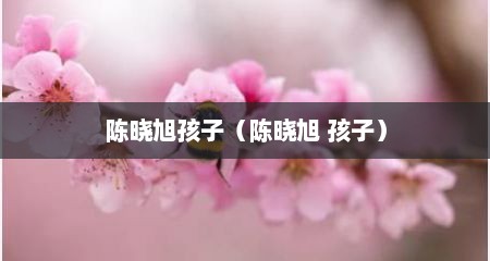陈晓旭孩子（陈晓旭 孩子）