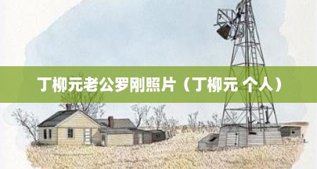 丁柳元老公罗刚照片（丁柳元 个人）