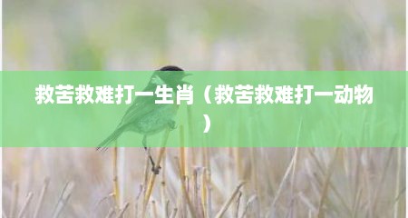 救苦救难打一生肖（救苦救难打一动物）