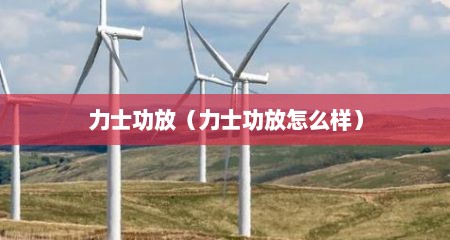 力士功放（力士功放怎么样）