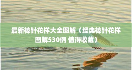 最新棒针花样大全图解（经典棒针花样图解530例 值得收藏）