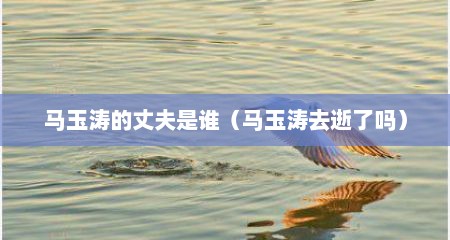 马玉涛的丈夫是谁（马玉涛去逝了吗）