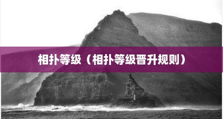 相扑等级（相扑等级晋升规则）