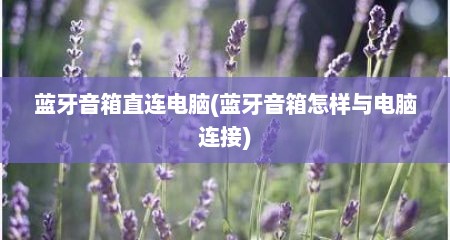 蓝牙音箱直连电脑(蓝牙音箱怎样与电脑连接)