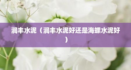 润丰水泥（润丰水泥好还是海螺水泥好）