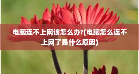 电脑连不上网该怎么办?(电脑怎么连不上网了是什么原因)